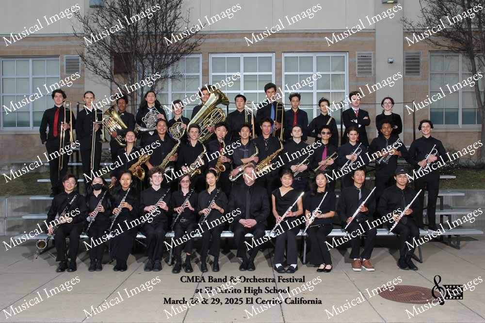 Musical Images